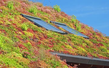Thornton Le Moors living roof systems