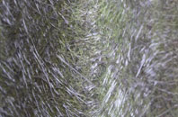 Thornton Le Moors fibreglass roof work